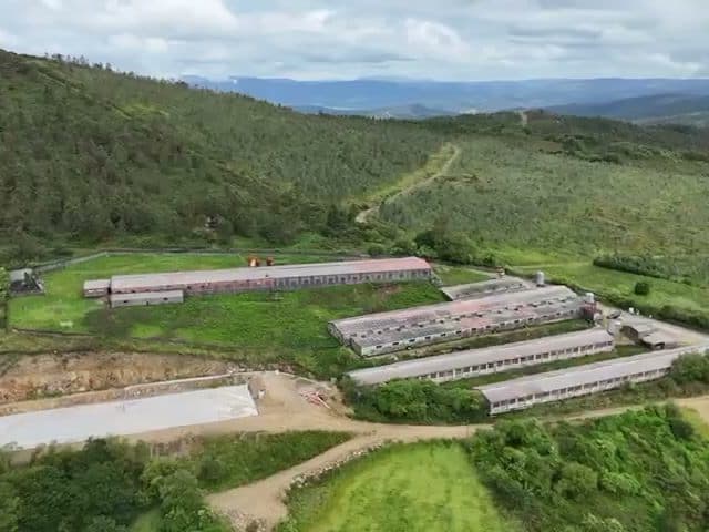 Naves de la granja de engorde de cerdos de Granja Xestoso en Lousame